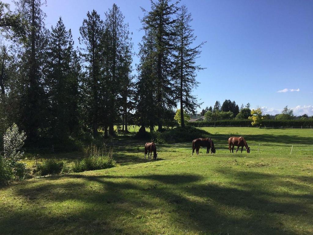 Listing Image for R3071094