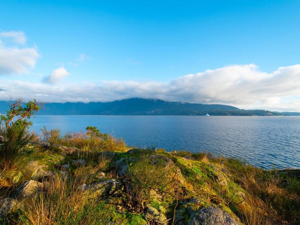 Listing Image for R3073370