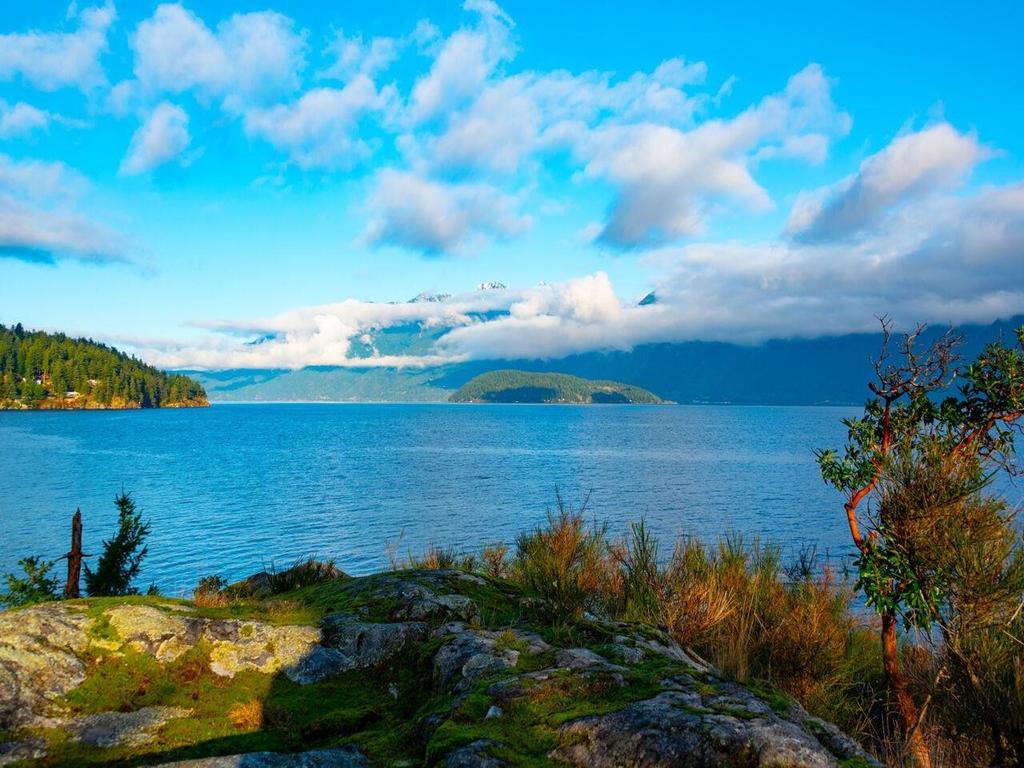 Listing Image for R3073370