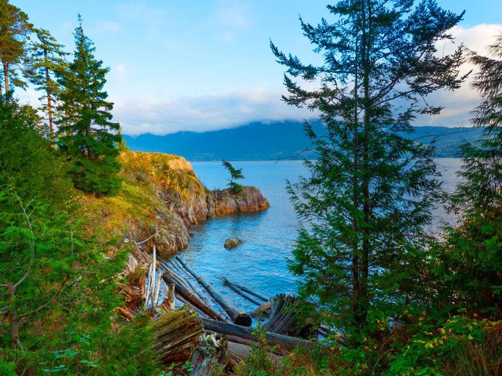 Listing Image for R3073370