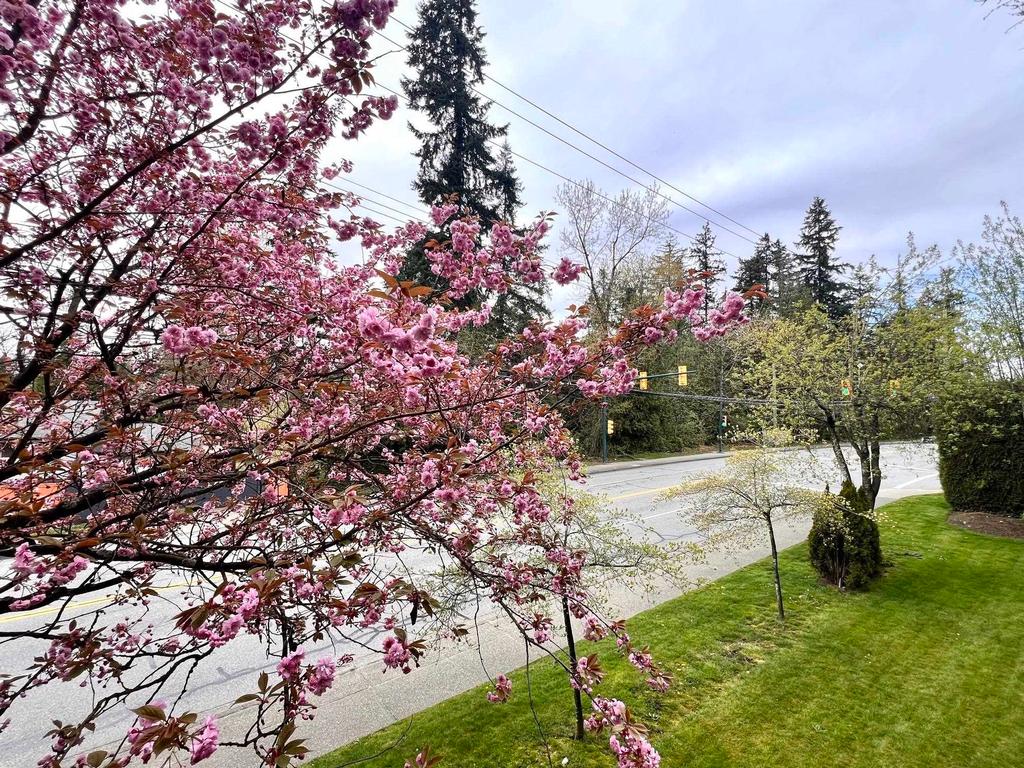Listing Image for R3073426