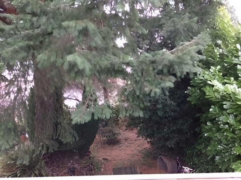 Listing Image for R3073869