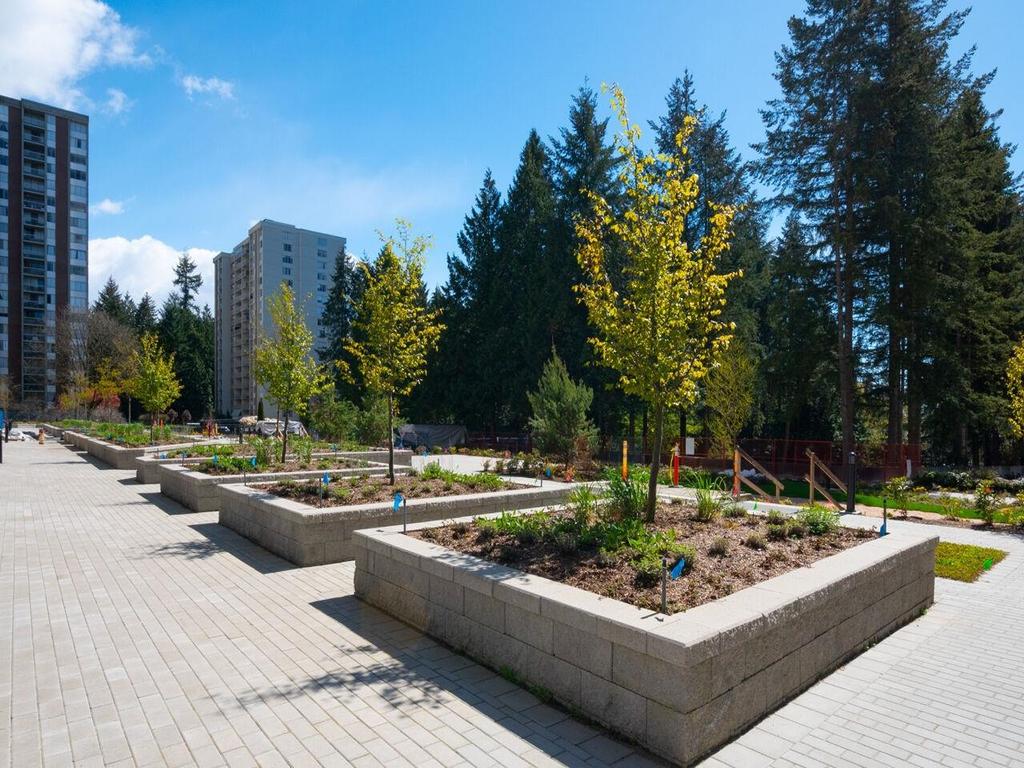 Listing Image for R3074197