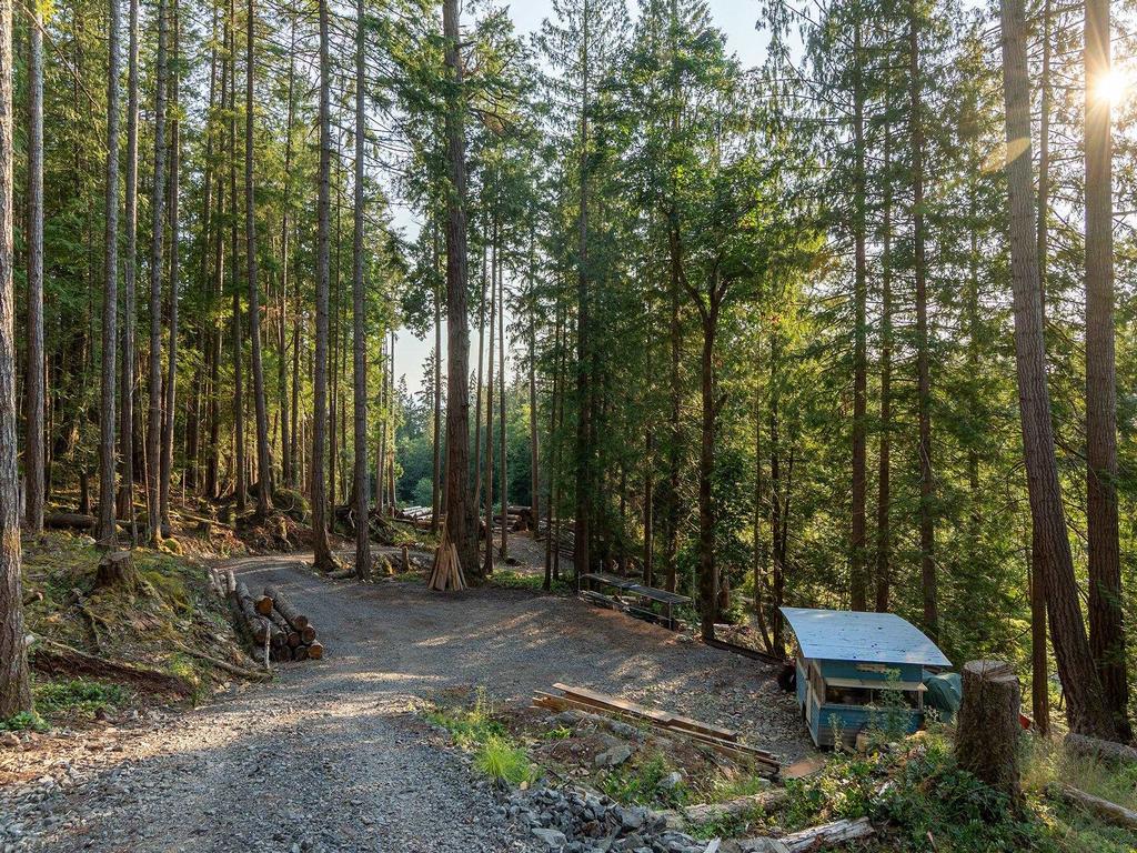 Listing Image for R3074234