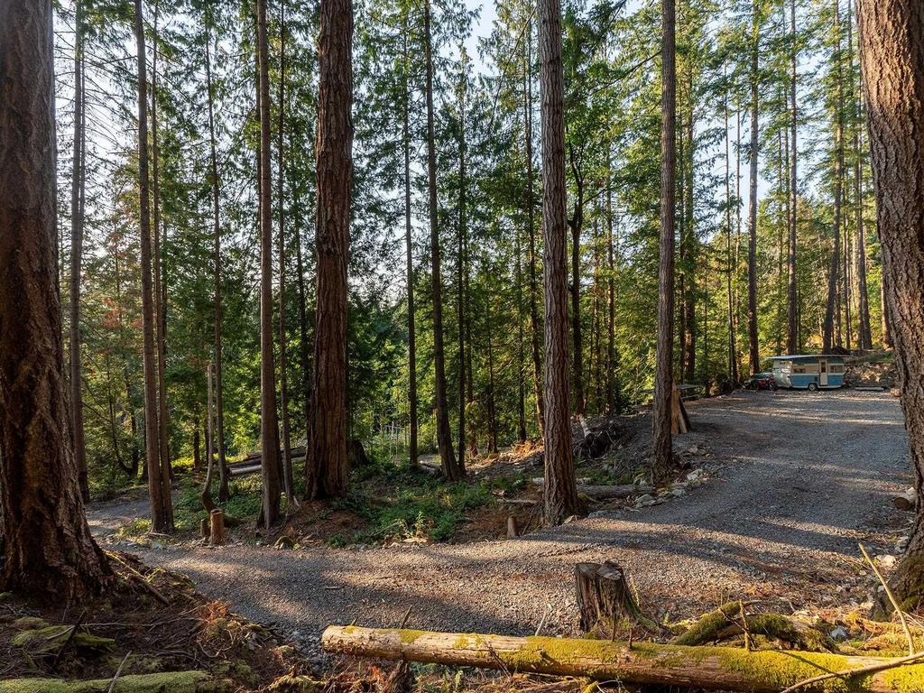 Listing Image for R3074234