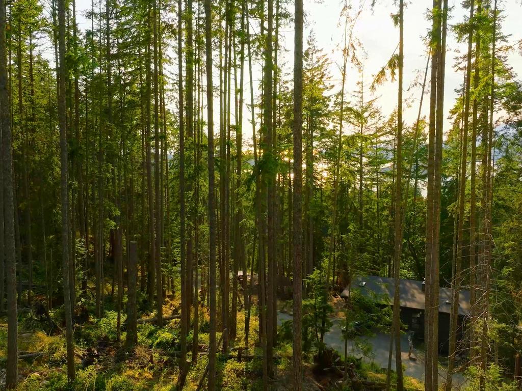 Listing Image for R3074402