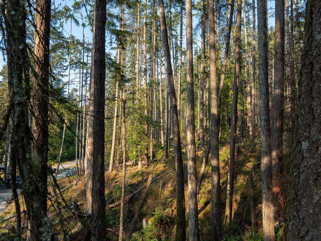 Listing Image for R3074402