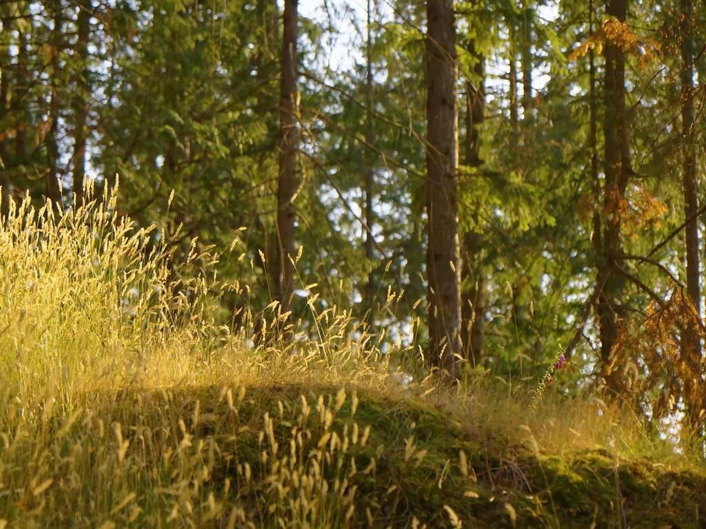 Listing Image for R3074402