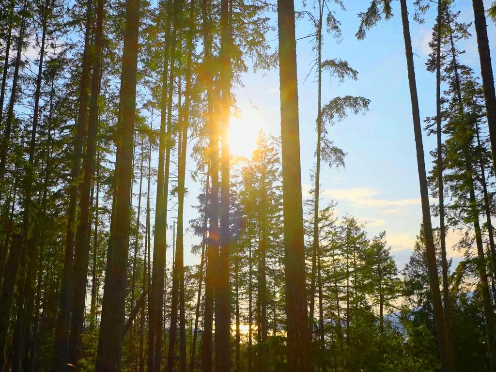 Listing Image for R3074402