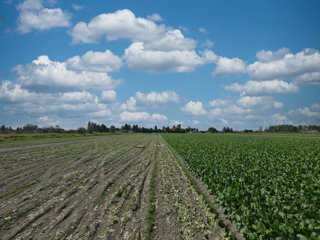 Listing Image for R3074742