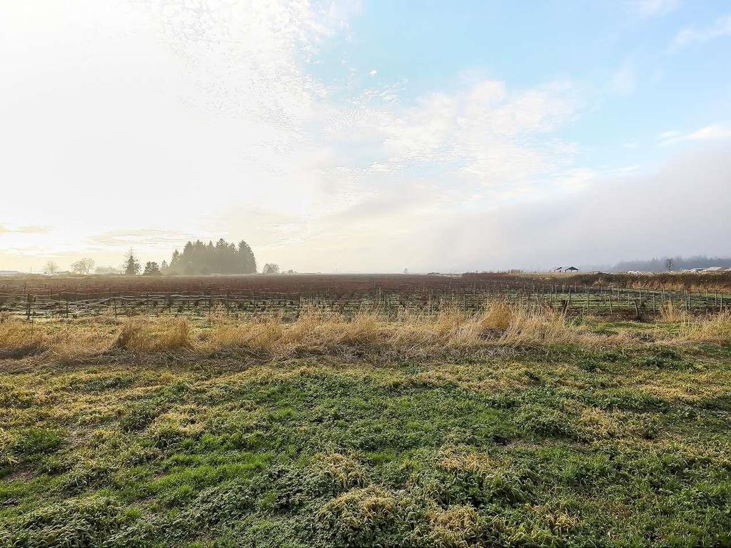 Listing Image for R3075069