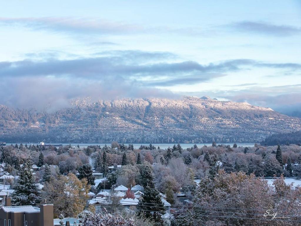 Listing Image for R3075415