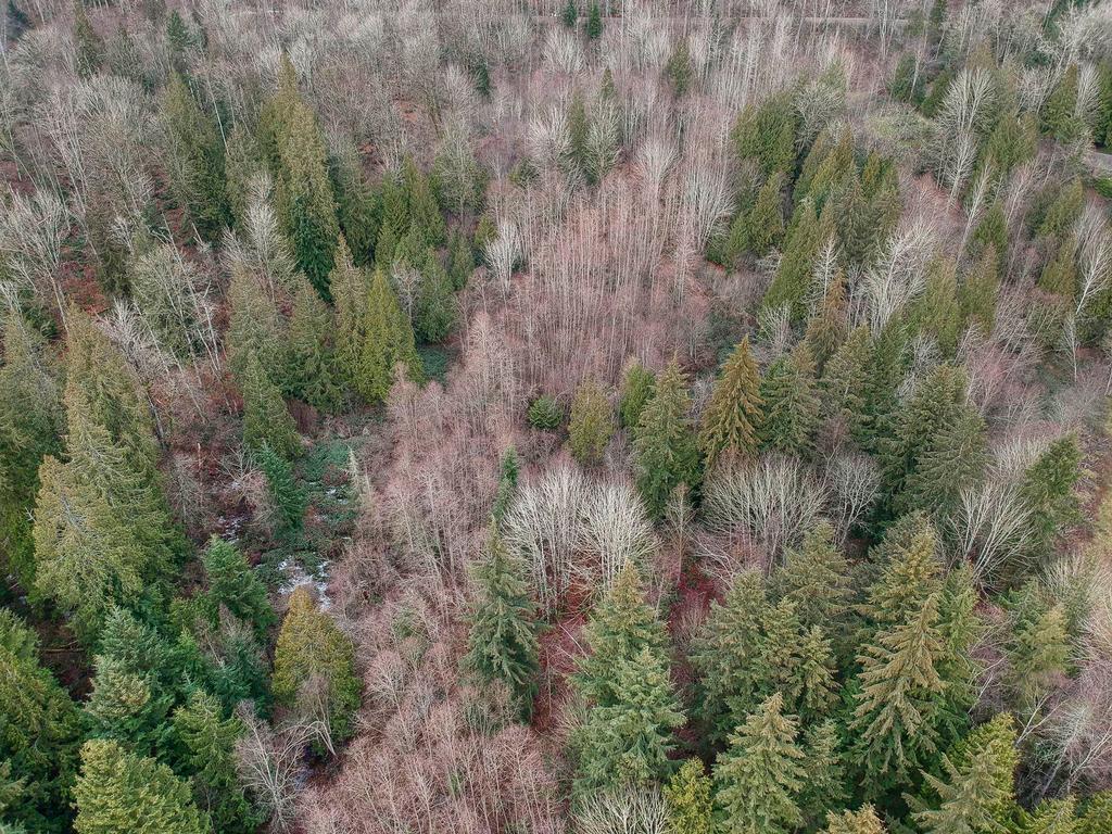 Listing Image for R3075710