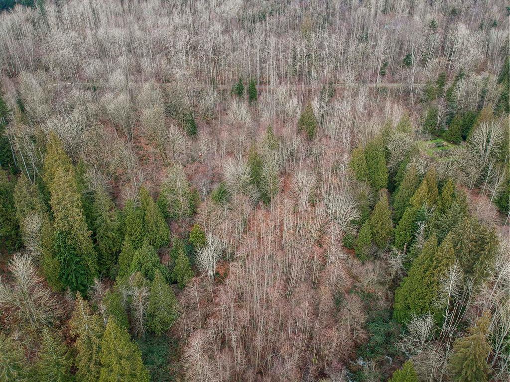 Listing Image for R3075710