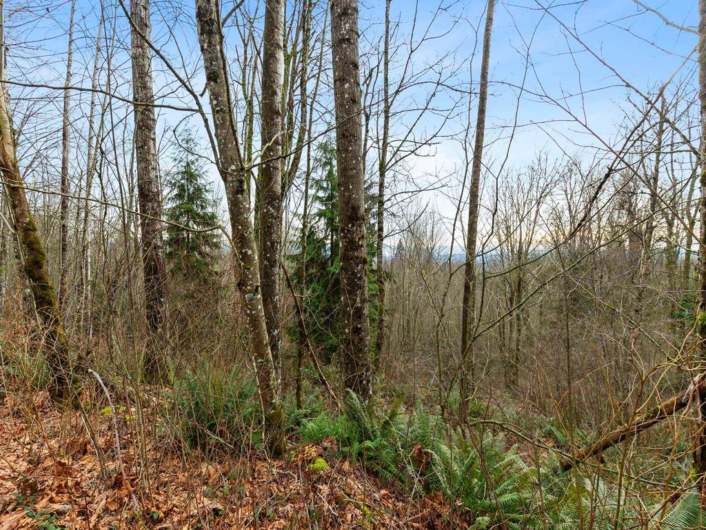 Listing Image for R3075710