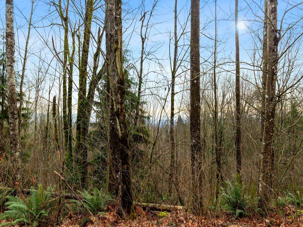 Listing Image for R3075710