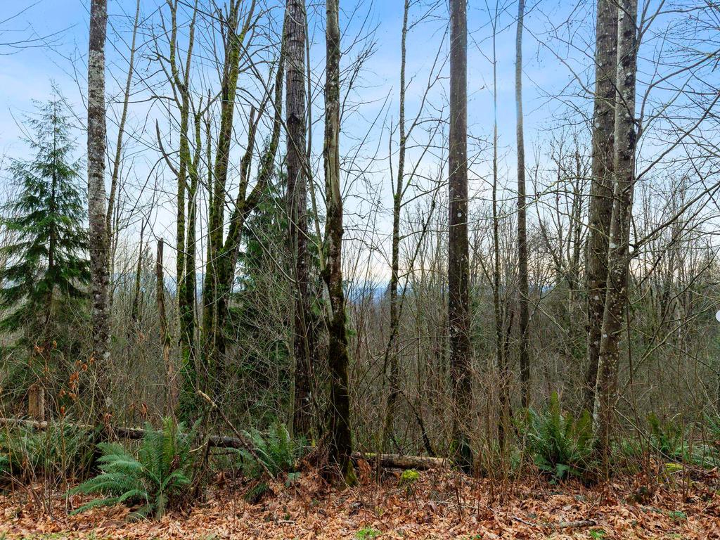 Listing Image for R3075710