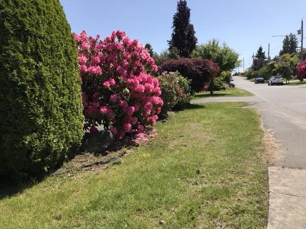 Listing Image for R3076051