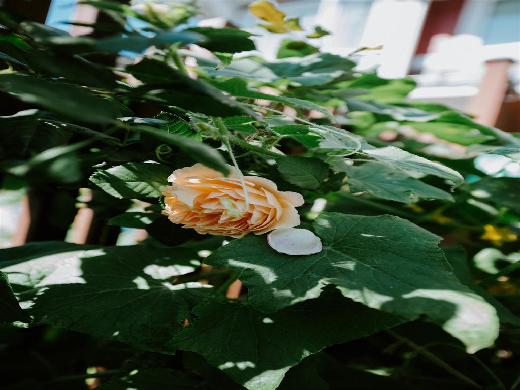 Listing Image for R3076762