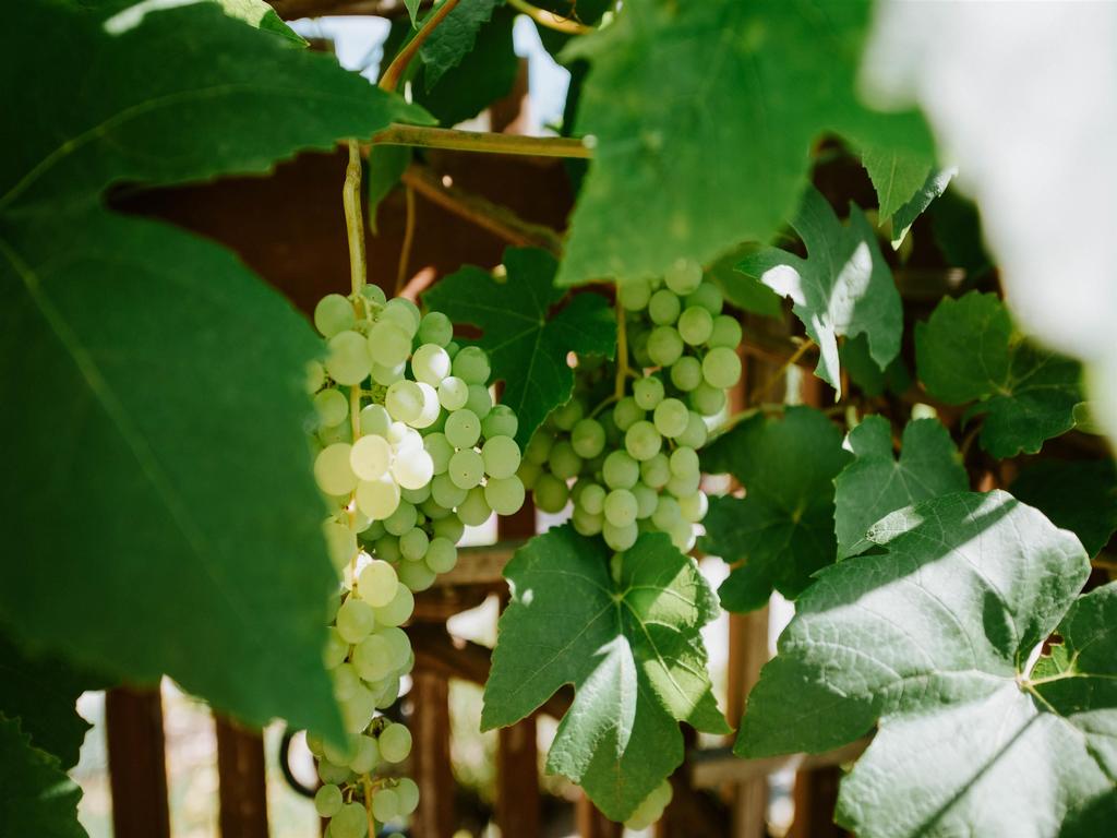 Listing Image for R3076762