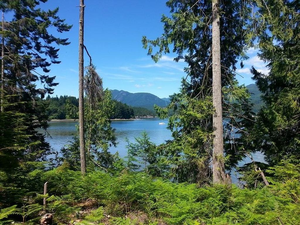 Listing Image for R3078516