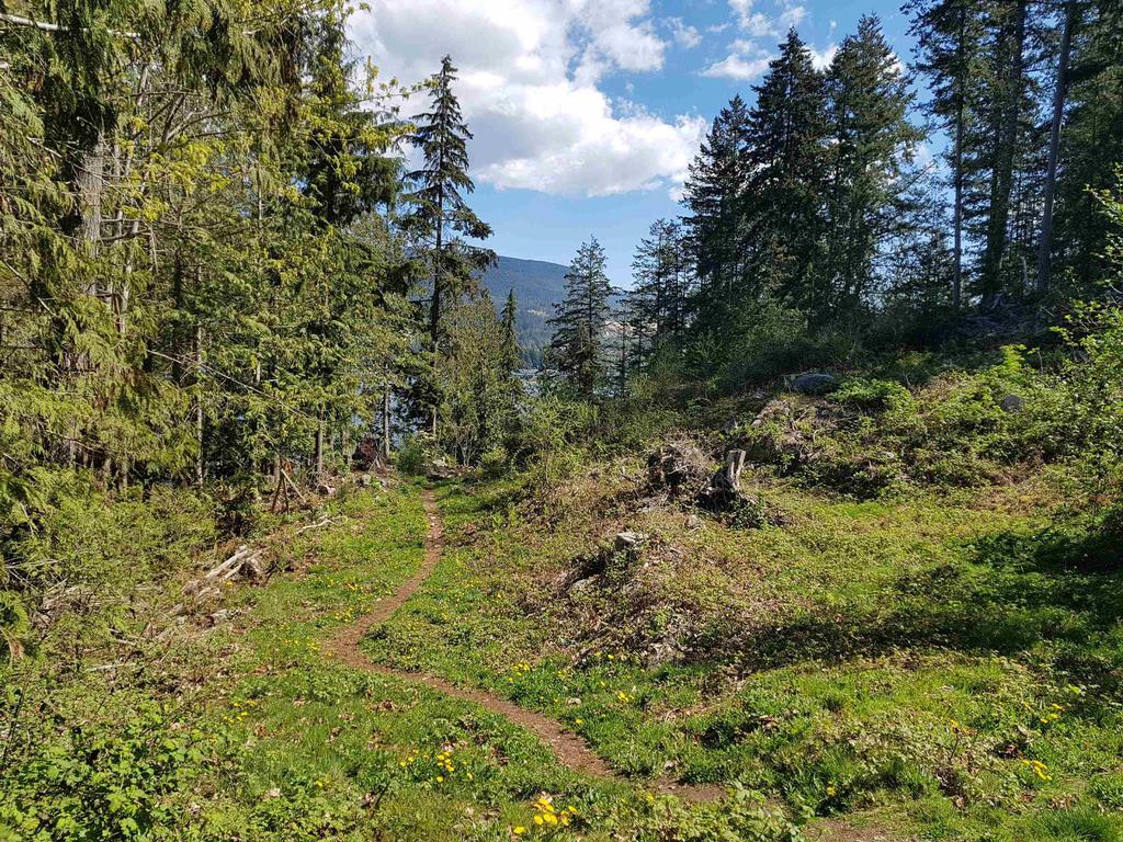 Listing Image for R3078516