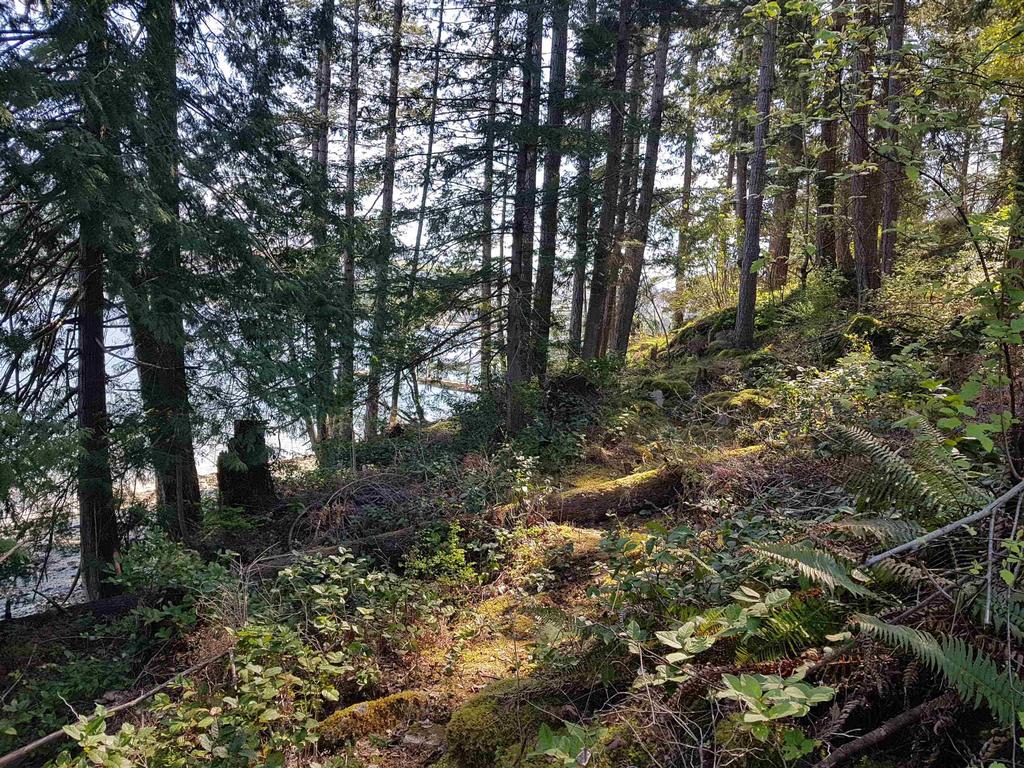 Listing Image for R3078516