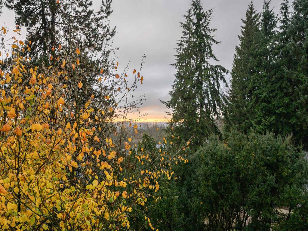 Listing Image for R3078859