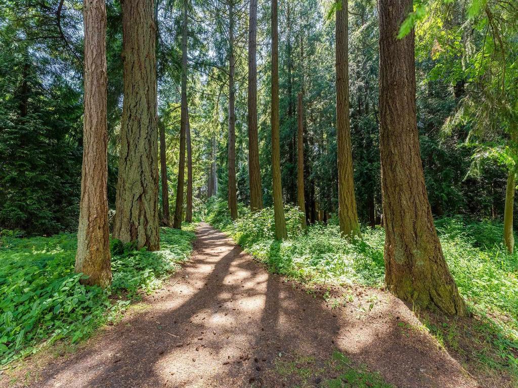 Listing Image for R3079750