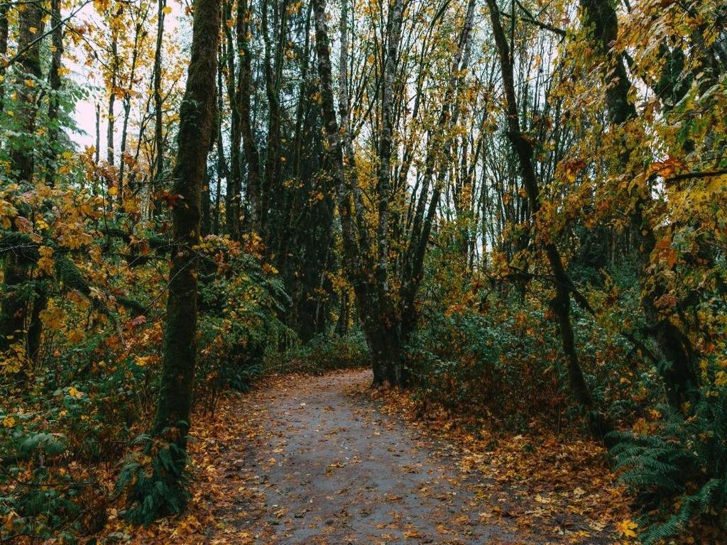 Listing Image for R3080362