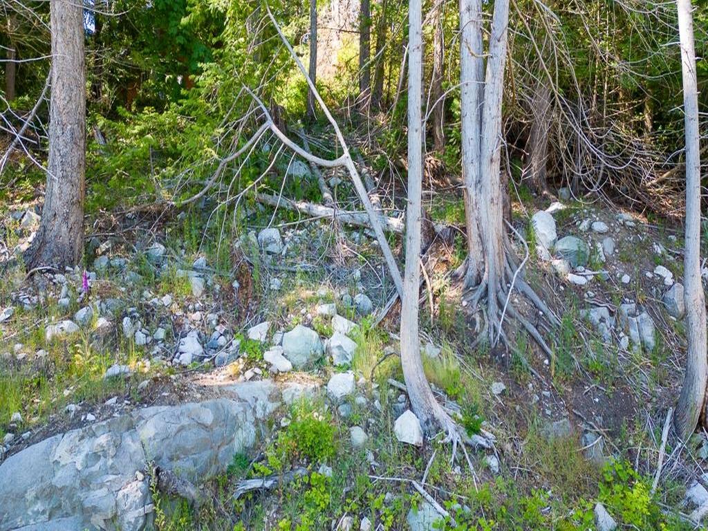 Listing Image for R3081032