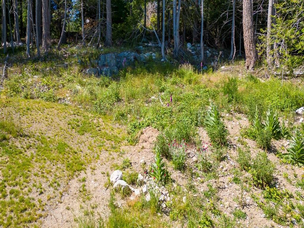 Listing Image for R3081032