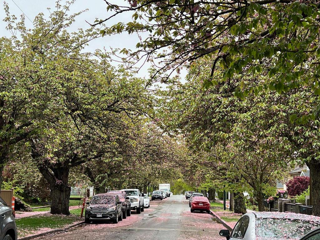 Listing Image for R3081243