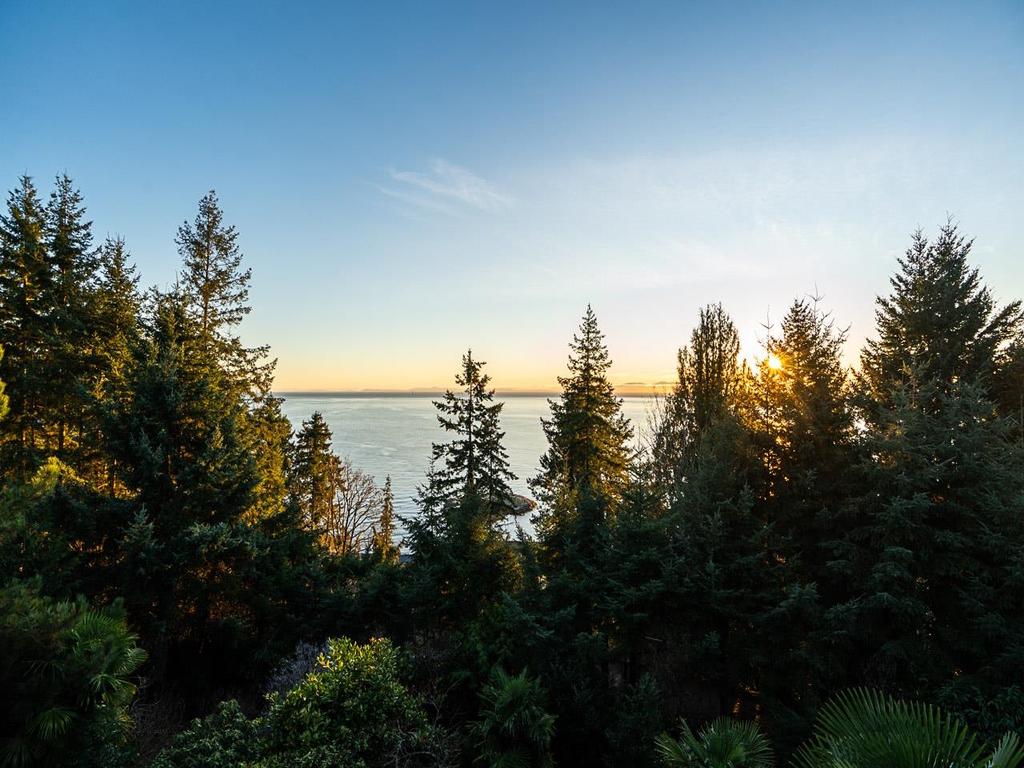 Listing Image for R3081306