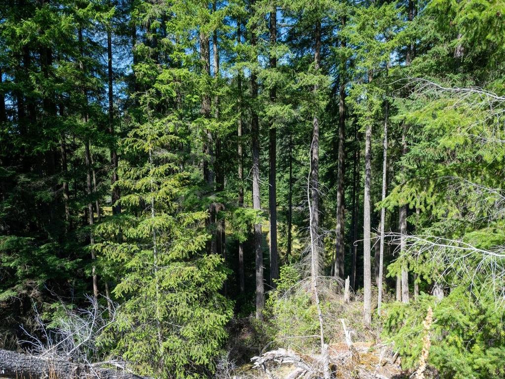 Listing Image for R3081467