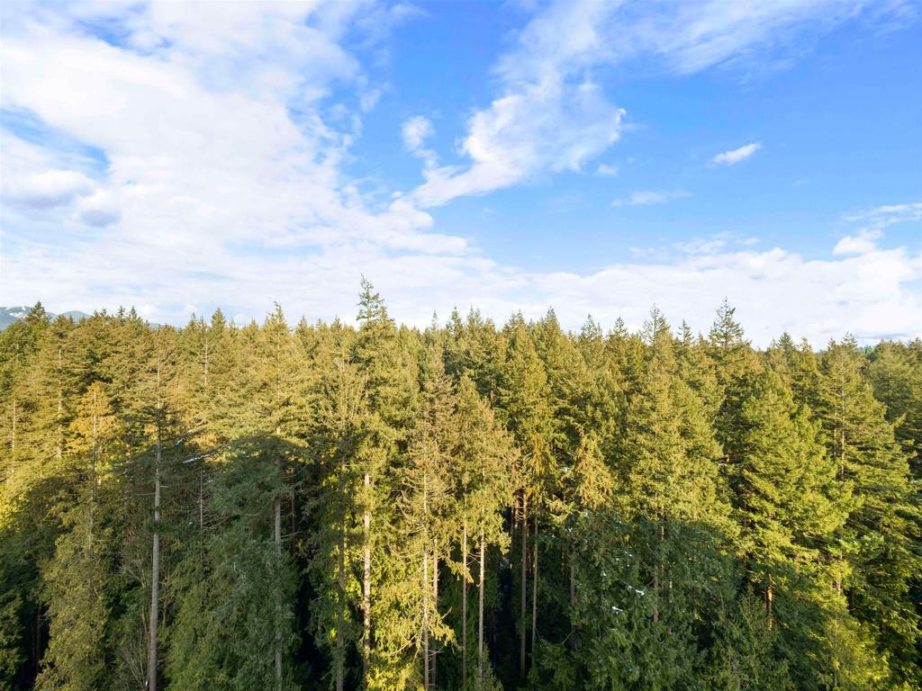 Listing Image for R3081482