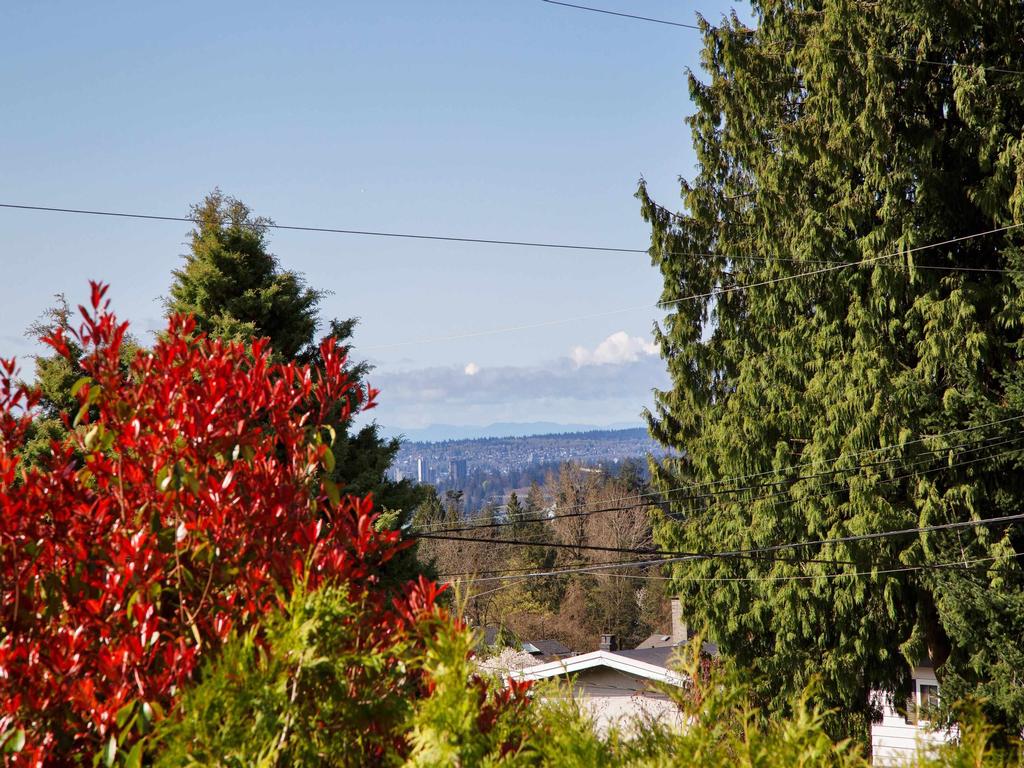 Listing Image for R3081882