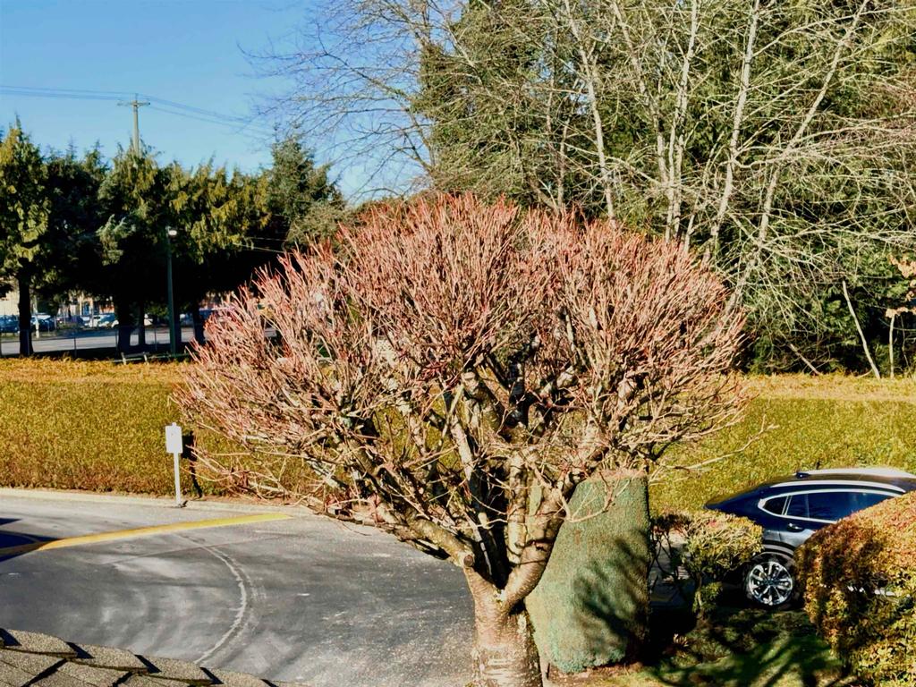 Listing Image for R3082776