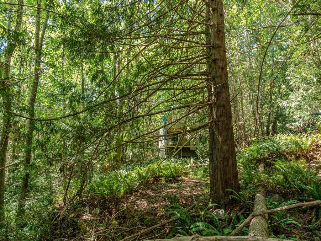 Listing Image for R3082781