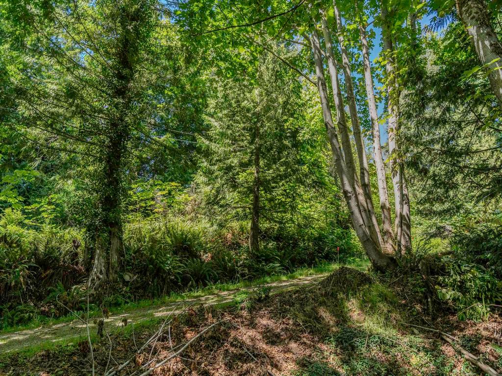 Listing Image for R3082781