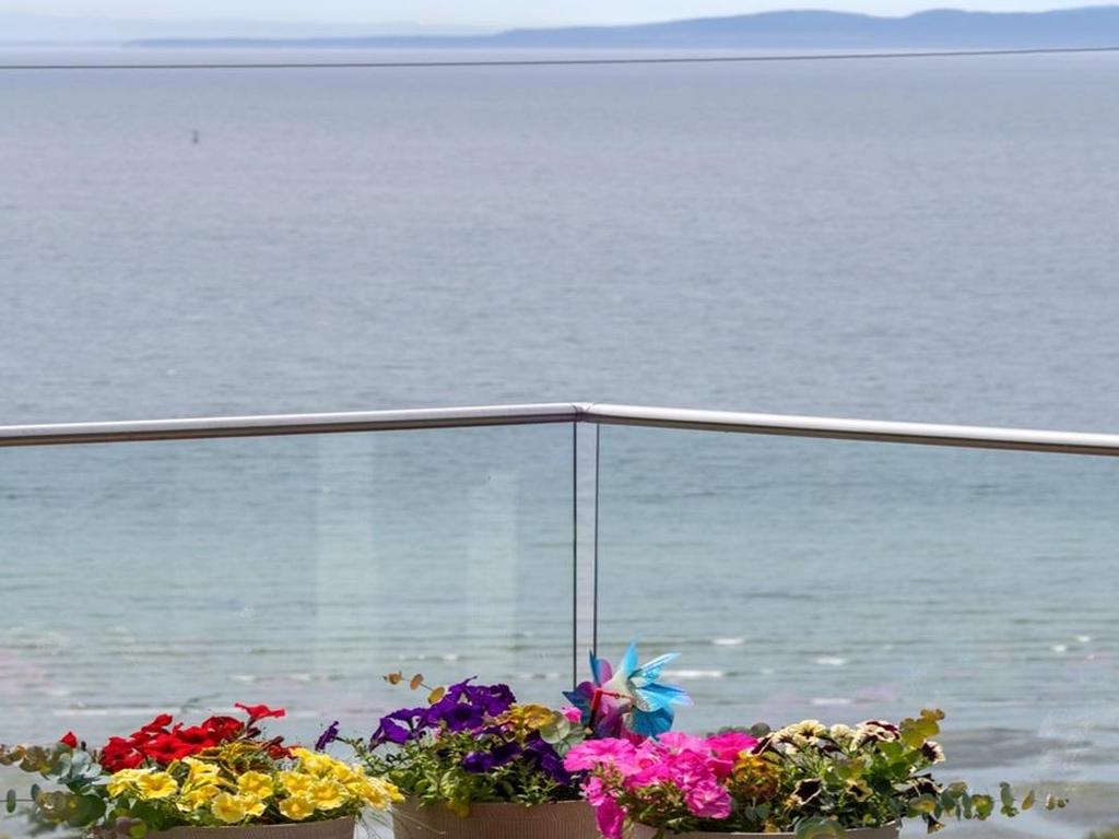 Listing Image for R3082850