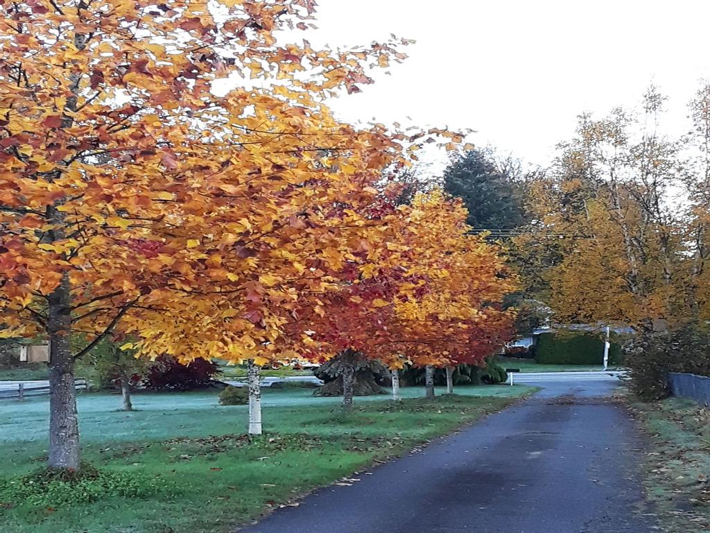 Listing Image for R3083458