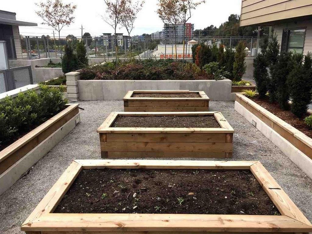 Listing Image for R3083558