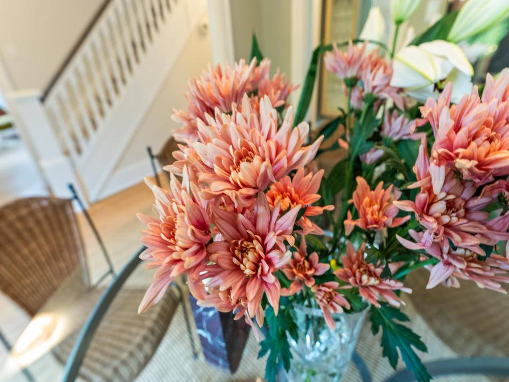 Listing Image for R3084390