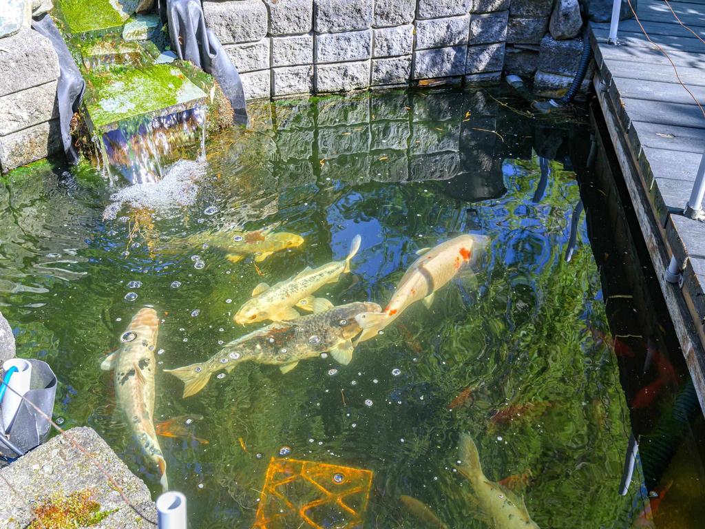 Listing Image for R3084595