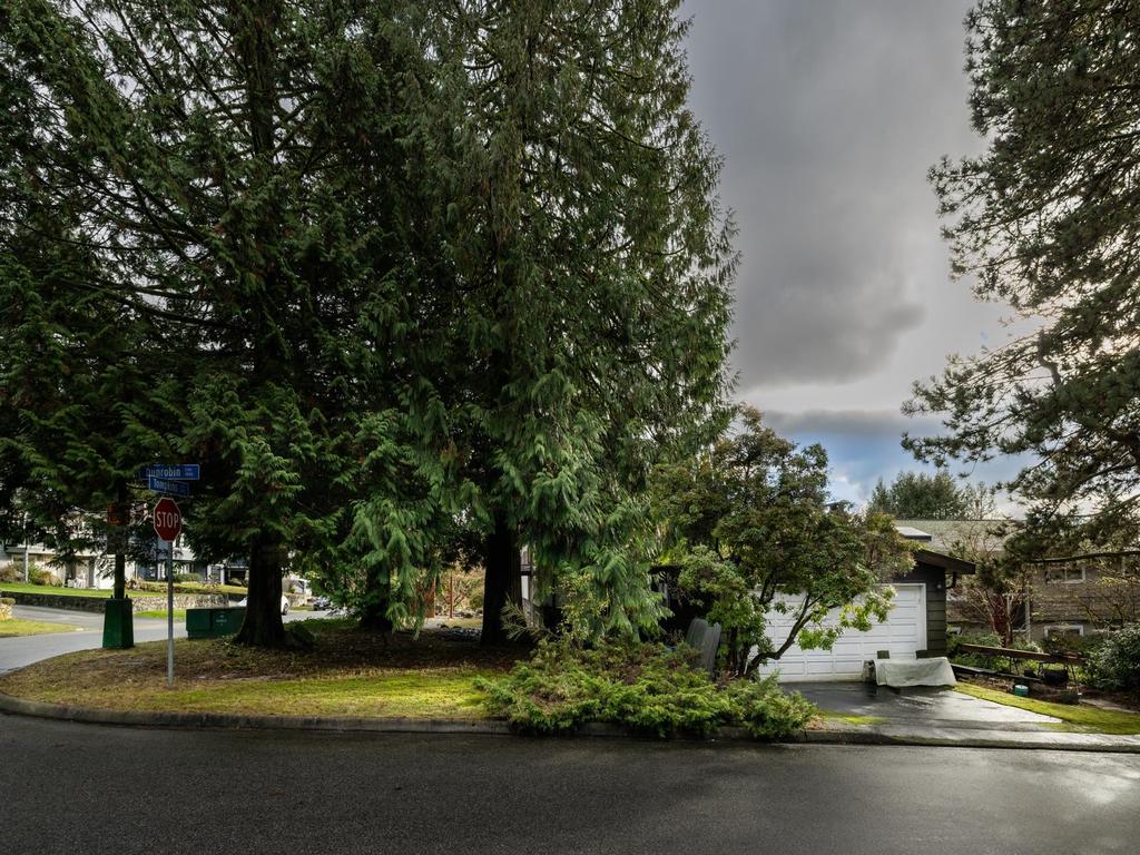 Listing Image for R3084651