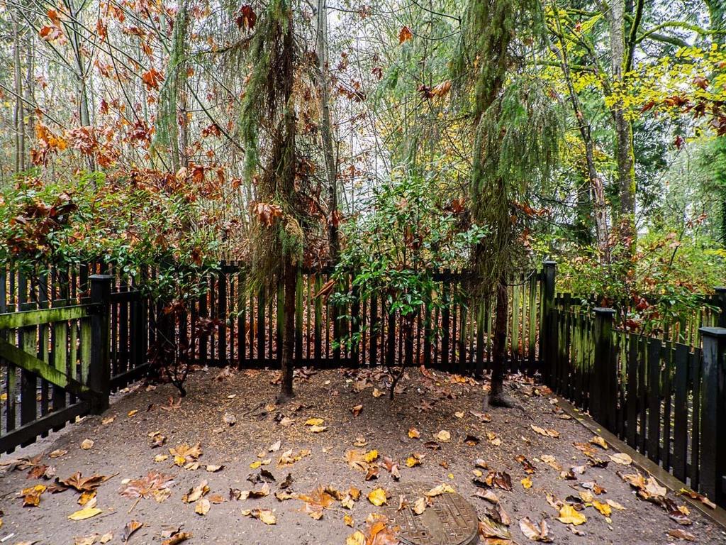 Listing Image for R3084720