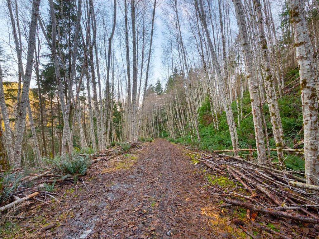 Listing Image for R3084896