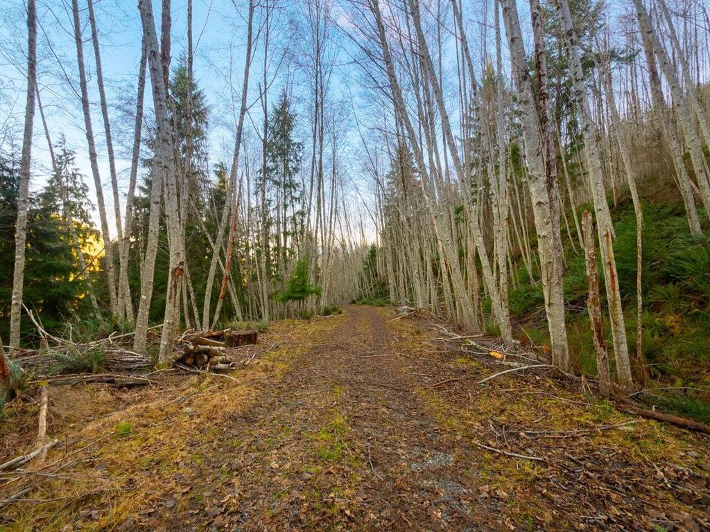 Listing Image for R3084896