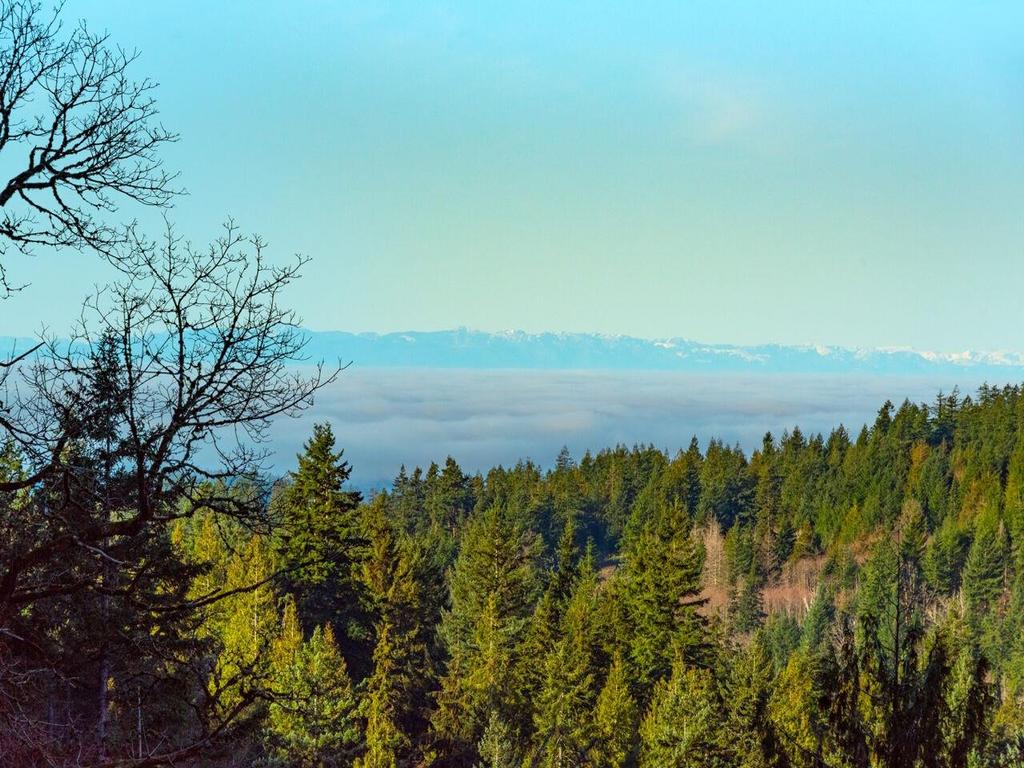 Listing Image for R3084896